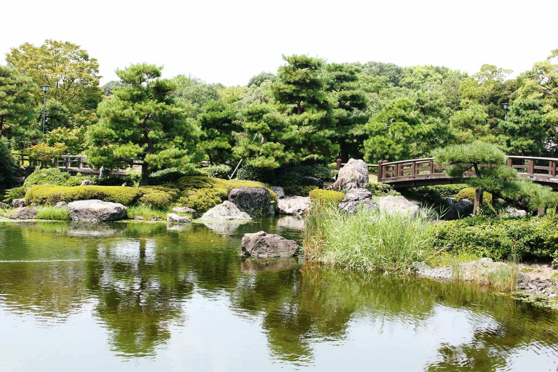 日本庭園の要素を取り入れ現代和風の庭を作ろう | 有限会社 緑酒園