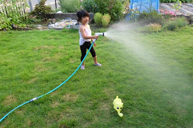 芝に水やりをする子ども