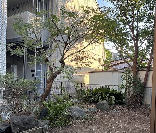 除草後の庭